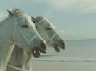 What were the kookiest ad complaints of 2015?